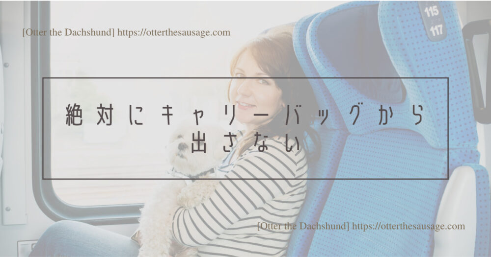 Blog Header image_犬と旅行_犬連れ旅行_travel tips for riding on the bullet train with dogs_Otter the Dachshund_犬連れ新幹線の乗り方完全マニュアル_絶対にキャリーバッグから出さない